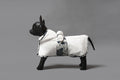 Dog Bathrobe