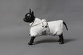 Dog Bathrobe